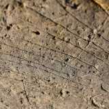 ...e una specie di griglia: si tratta forse di un calendario delle attivit� agricole